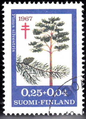 Bäume_0087.jpg