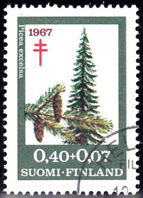 Bäume_0088.jpg