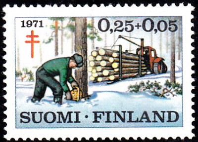 Bäume_0093.jpg