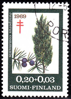 Bäume_0089.jpg