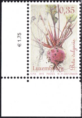 Gemüse_0005.jpg