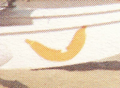 IMG5.jpg