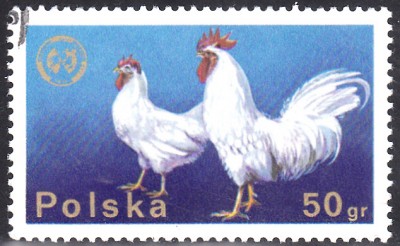 20160727_0012.jpg