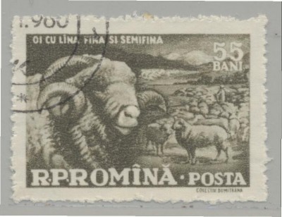 Rumänien Widder 1959.jpg (68.15 KiB) 2095-mal betrachtet Rumänien Widder 1959.jpg