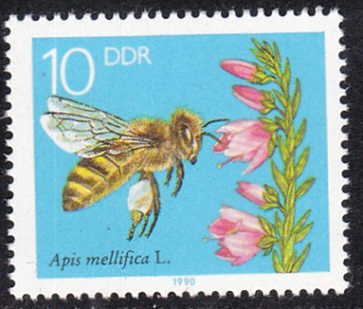 20161110_0017.jpg