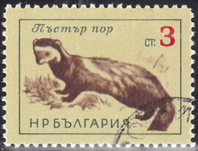 20170206_0004.jpg