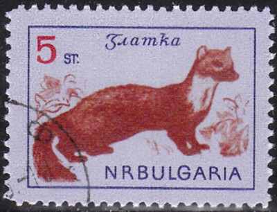 20170206_0005.jpg