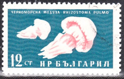 20170212_0005.jpg