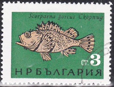 20170212_0002.jpg