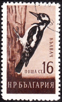 20170306_0012.jpg
