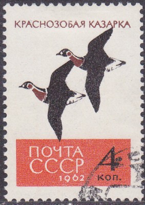 20170316_0035.jpg