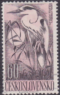 20170324_0012.jpg