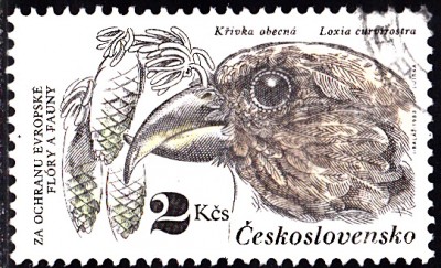 20170325_0008.jpg