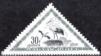 20170326_0005.jpg