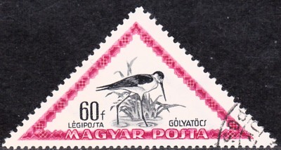 20170326_0008.jpg