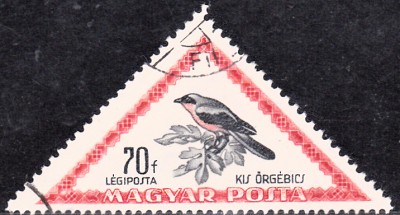 20170326_0009.jpg
