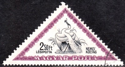 20170326_0013.jpg