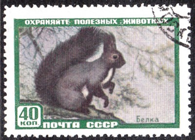 20170405_0017.jpg