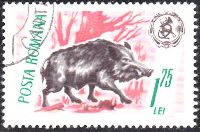 20170413_0009.jpg