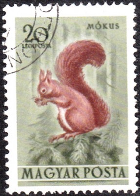 20170417_0017.jpg