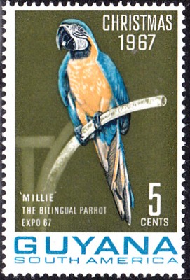 20170707_0011.jpg (158.79 KiB) 3379-mal betrachtet 20170707_0011.jpg