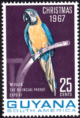 20170707_0014.jpg (168.63 KiB) 3353-mal betrachtet 20170707_0014.jpg