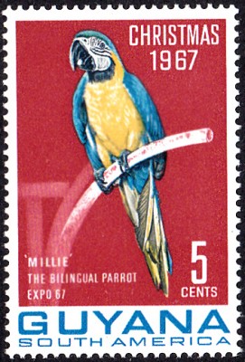 20170707_0012.jpg (176.57 KiB) 1701-mal betrachtet 20170707_0012.jpg