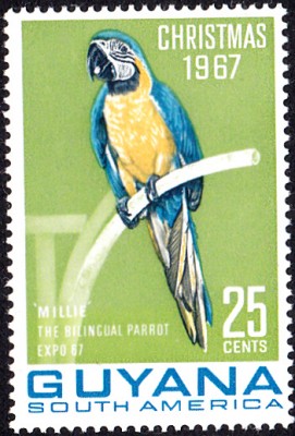 20170707_0013.jpg (153.21 KiB) 1701-mal betrachtet 20170707_0013.jpg