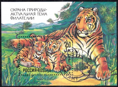 20170730_0007.jpg