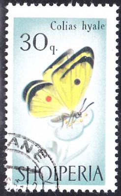 20180311_0004.jpg
