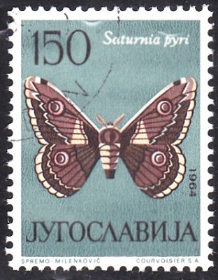 20180314_0005.jpg