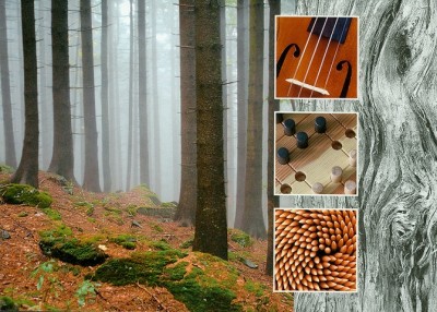 schweiz-holz-postkarte1.jpg