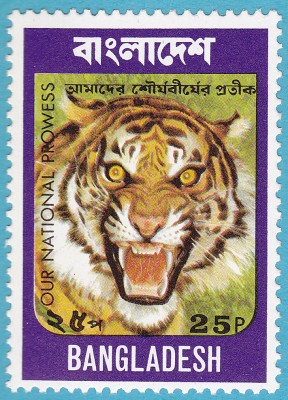 Bengaltiger_0001.jpg