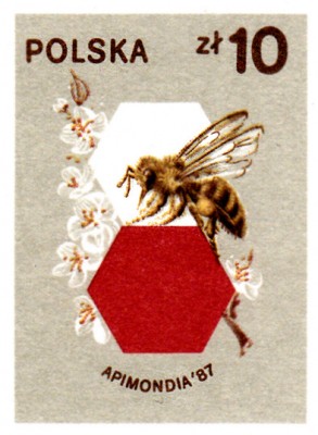 20180402_0010.jpg