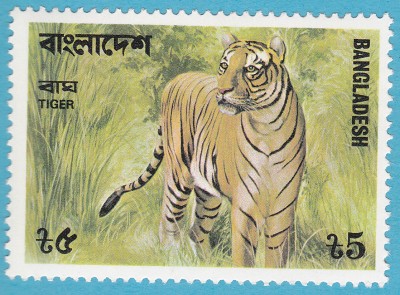 Bengaltiger_0004.jpg