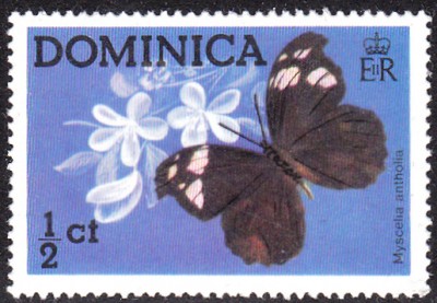 20180417_0006.jpg