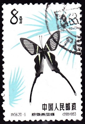 20180512_0015.jpg