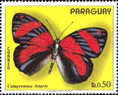 20180529_0005.jpg
