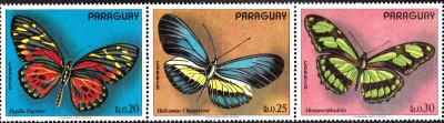 20180529_0009.jpg
