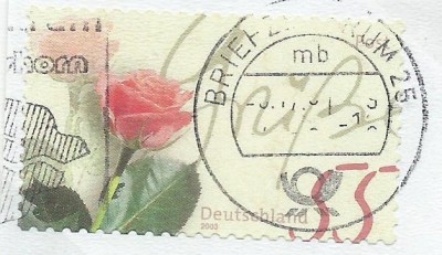 65i.jpg