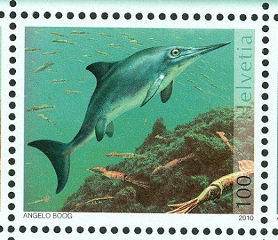 schweiz-saurier-100-2.jpg