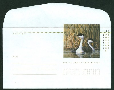 canada-wasservogel1.jpg