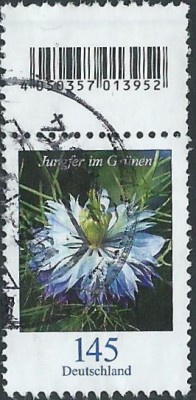 369d.jpg
