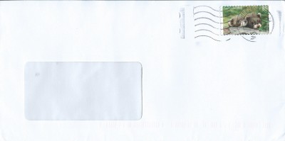 37a.jpg