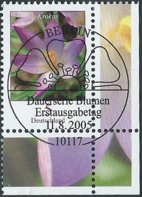122a.jpg