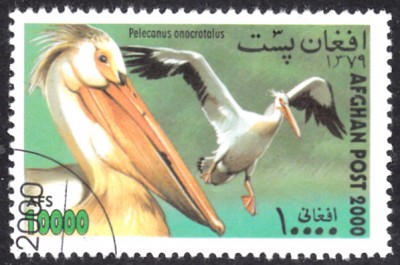20190402_0009.jpg