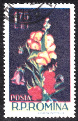 20190413_0002.jpg