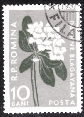 20190413.jpg
