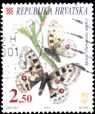 20190419_0015.jpg