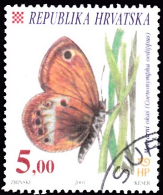 20190419_0014.jpg
